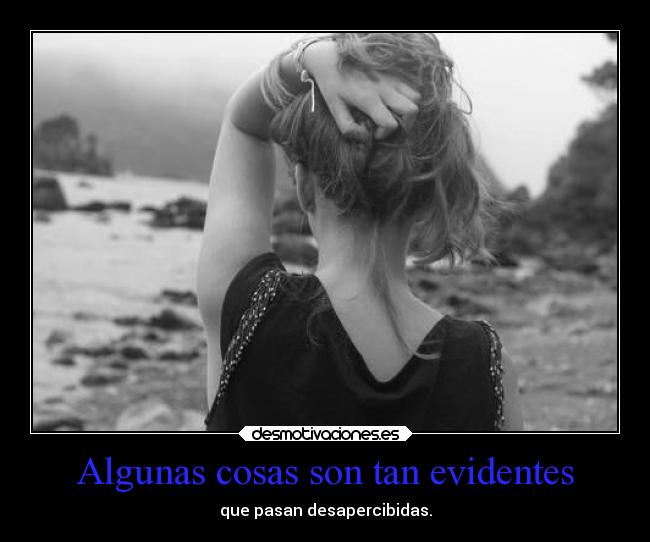 Algunas cosas son tan evidentes - 