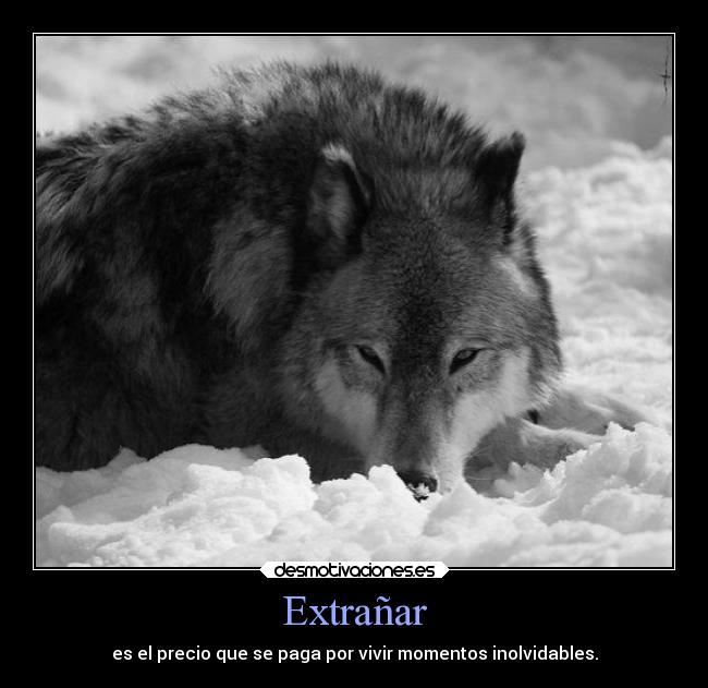 Extrañar - 