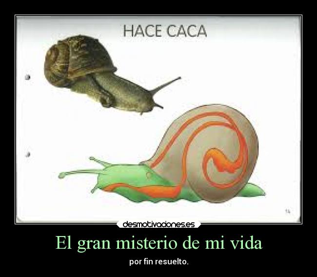 carteles vida fail graciosas humor chiste caracoles desmotivaciones