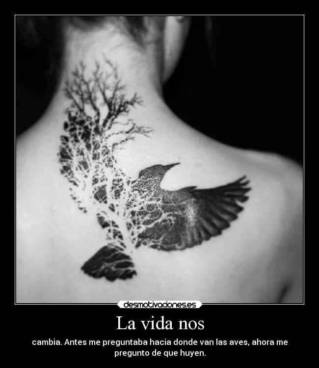 La vida nos - cambia. Antes me preguntaba hacia donde van las aves, ahora me
pregunto de que huyen.
