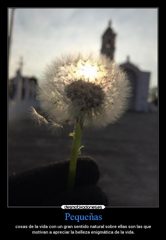 Pequeñas - cosas de la vida con un gran sentido natural sobre ellas son las que
motivan a apreciar la belleza enigmática de la vida.