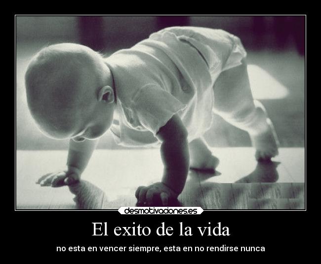 El exito de la vida - 