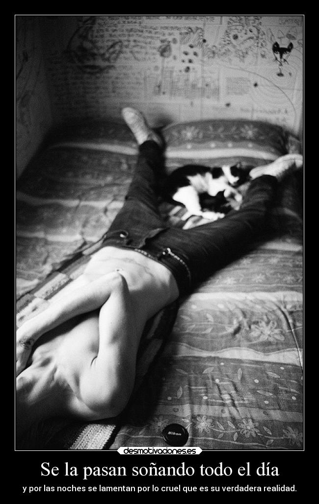 Se la pasan soñando todo el día -