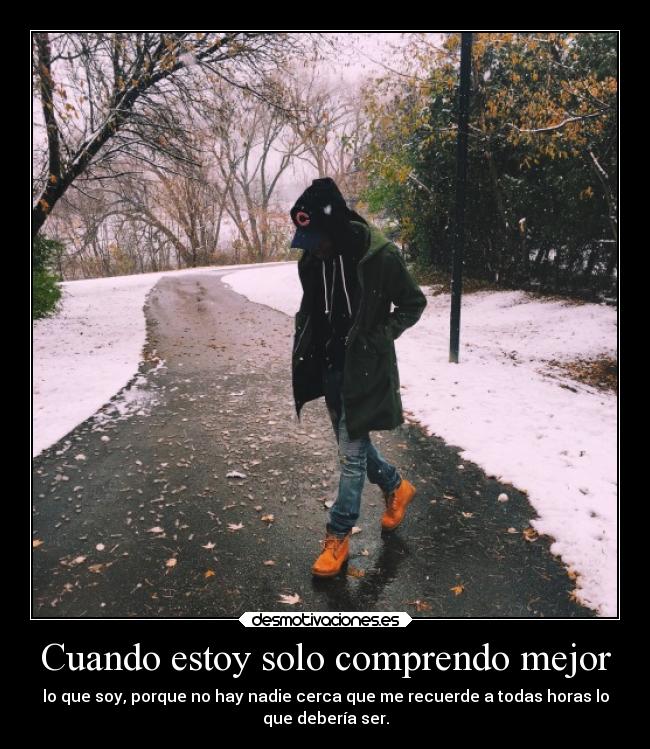 carteles vida leoncito desmotivaciones