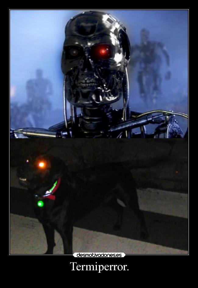 carteles vida locura memes humor risa animales perros laurasimpson11 terminator parodia desmotivaciones