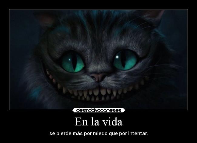 En la vida - se pierde más por miedo que por intentar.