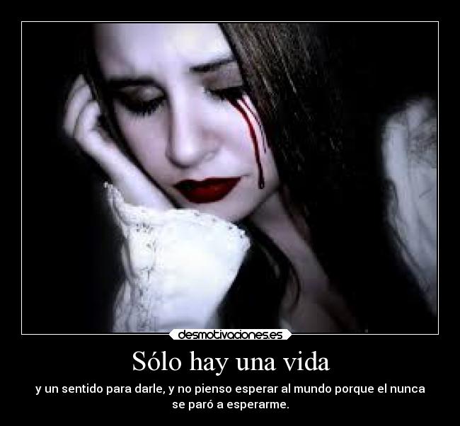 Sólo hay una vida -