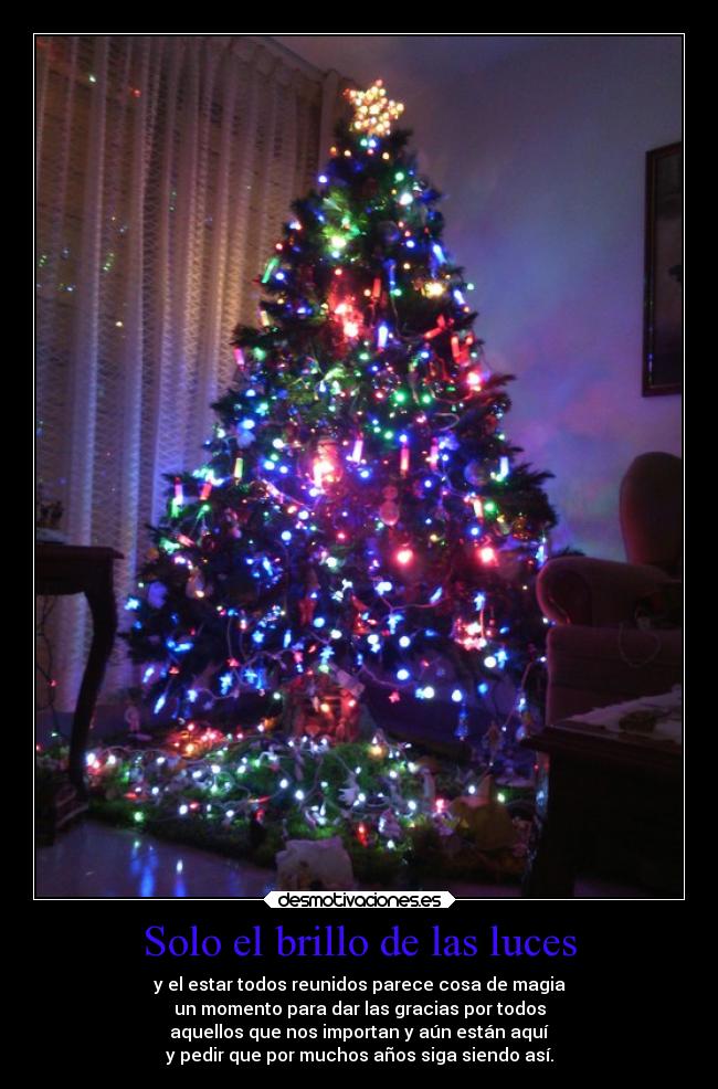Solo el brillo de las luces - 