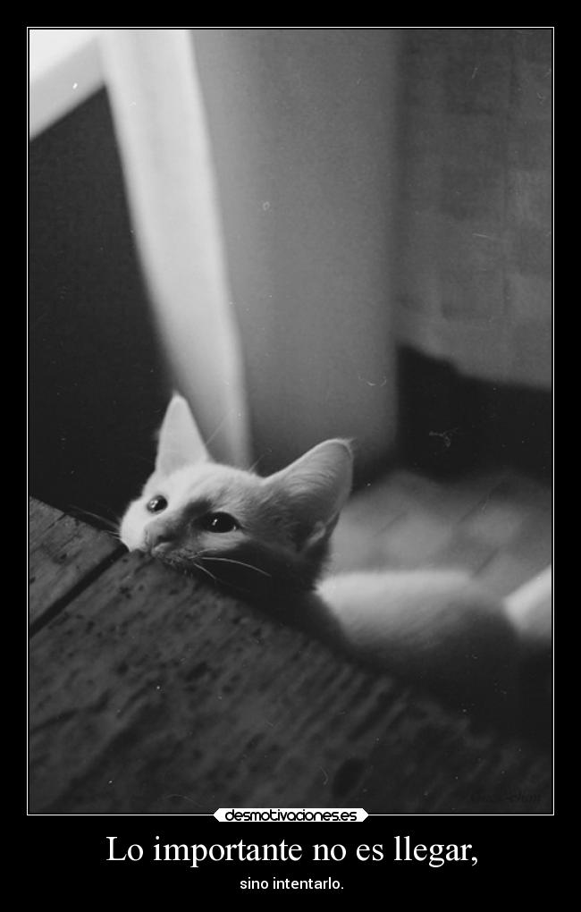 Lo importante no es llegar, -