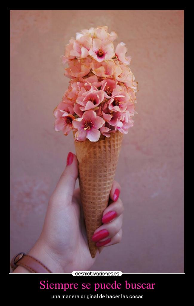 Siempre se puede buscar - 