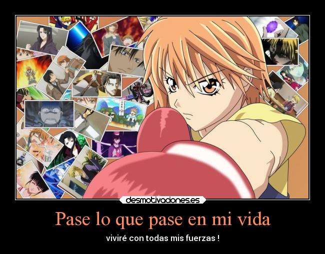 Pase lo que pase en mi vida - viviré con todas mis fuerzas !