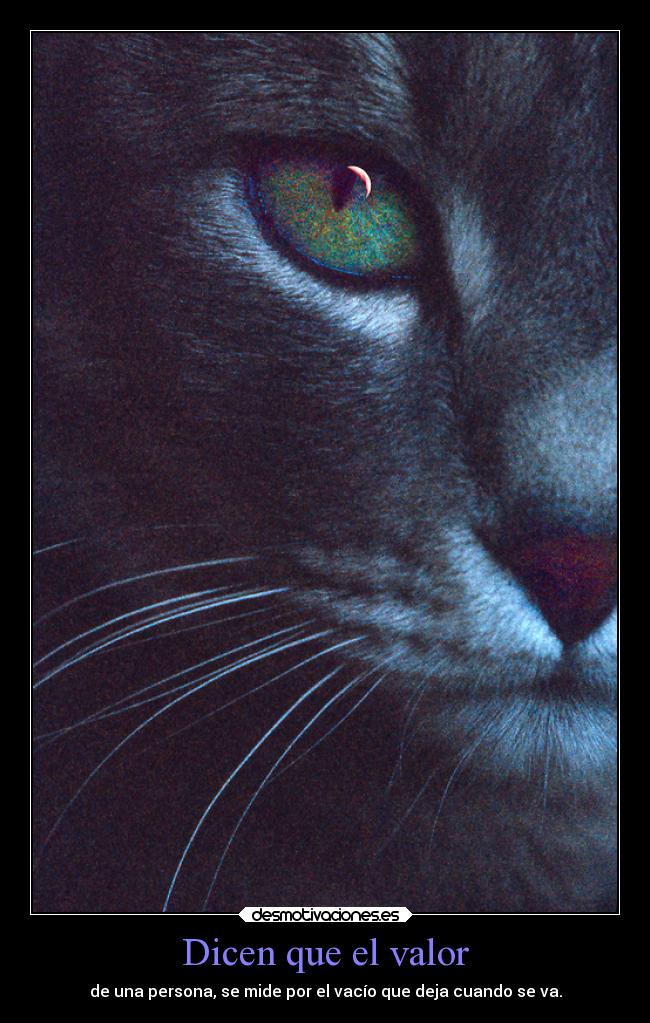 Dicen que el valor - de una persona, se mide por el vacío que deja cuando se va.