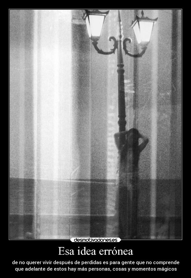 carteles vida perdidasquematan rdm soyunidiotatm desmotivaciones