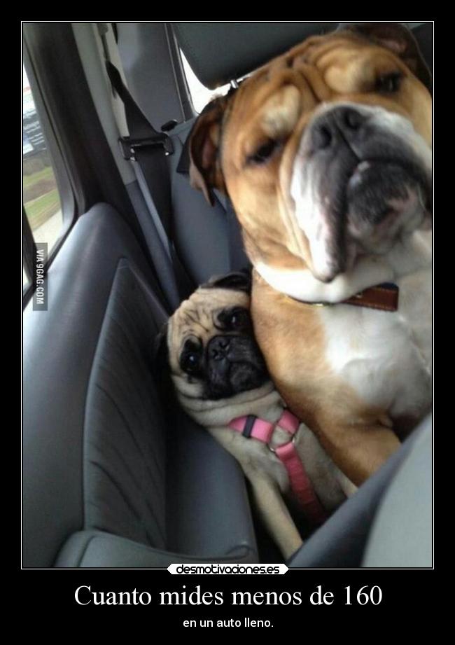 Cuanto mides menos de 160 - en un auto lleno.