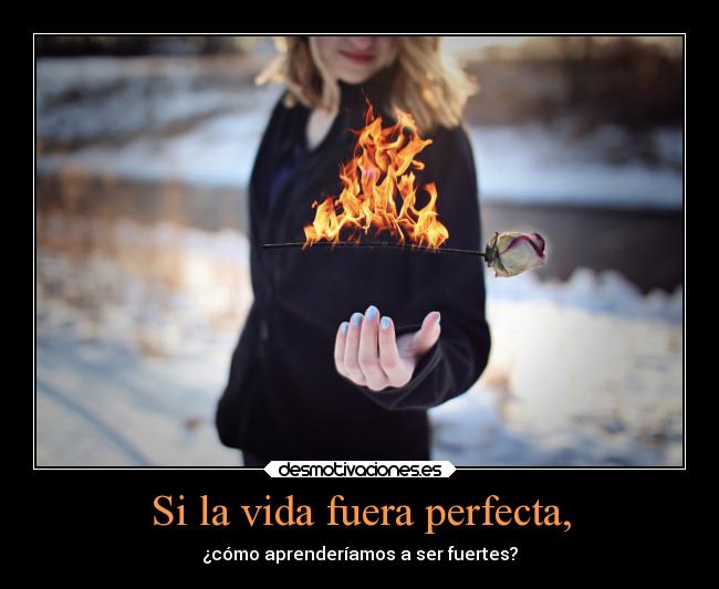 carteles vida vida sataystrong fuerza welcometothenewage yandraktime aprender desmotivaciones