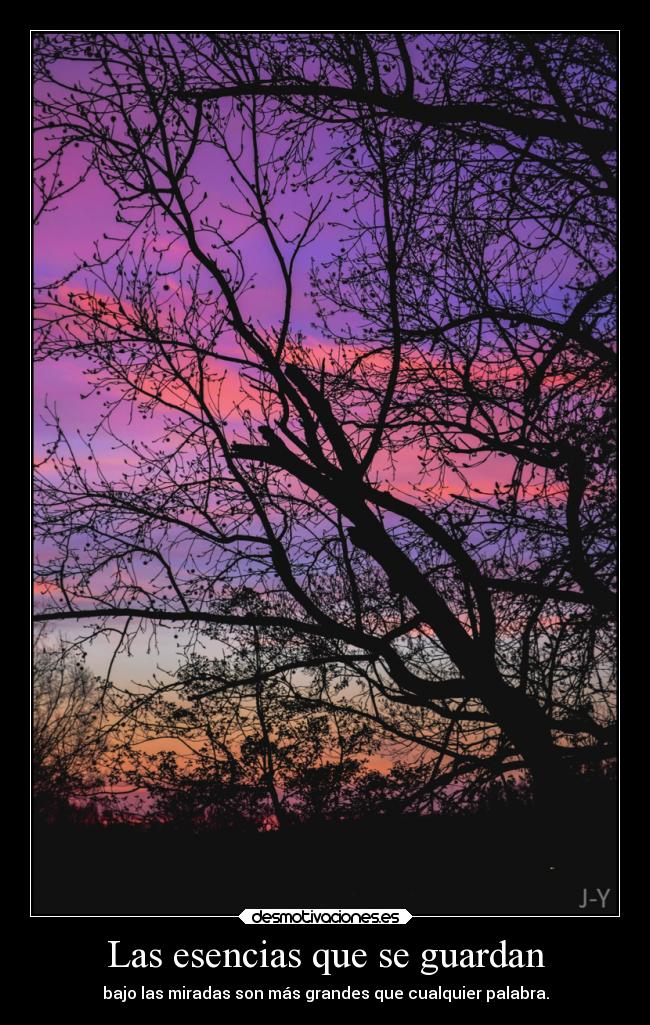 carteles vida sebastian656 madebysebas realidadesperdidas saltandodenubeennube realidad palabras miradas desmotivaciones