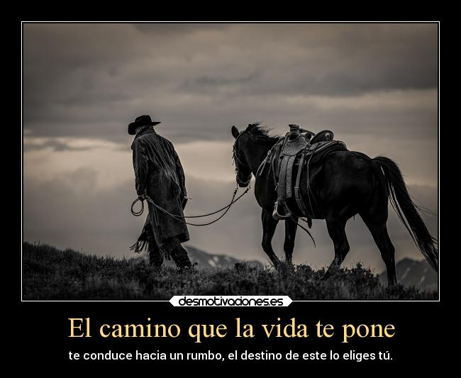 El camino que la vida te pone - te conduce hacia un rumbo, el destino de este lo eliges tú.