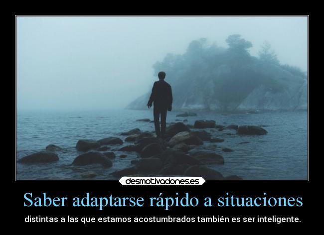 Saber adaptarse rápido a situaciones - 