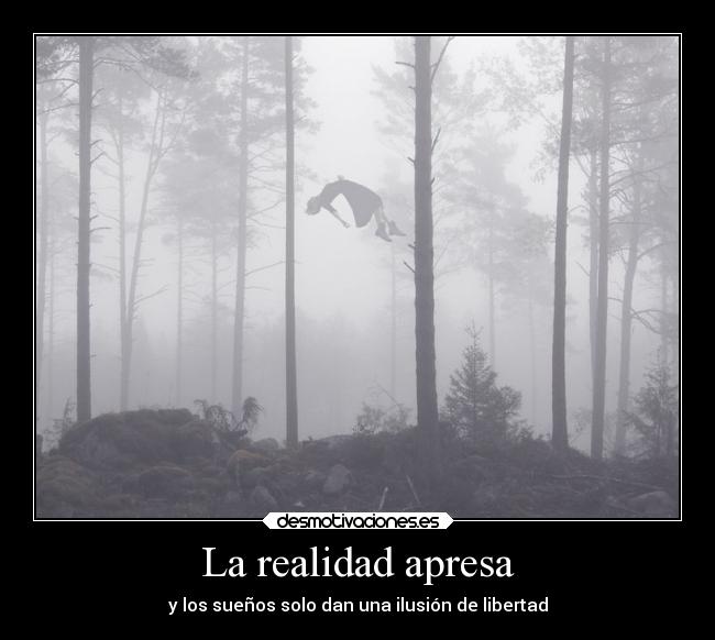 La realidad apresa - 