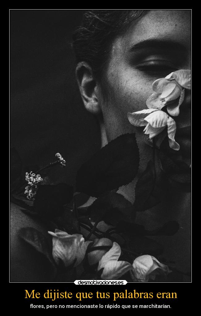Me dijiste que tus palabras eran - 