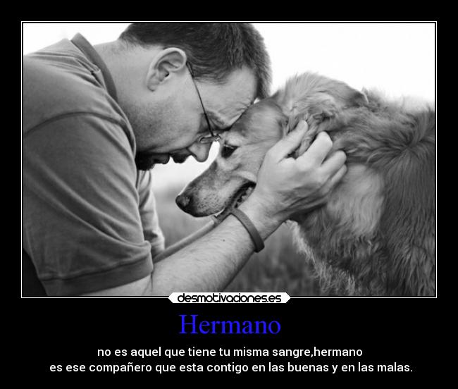 Hermano - 