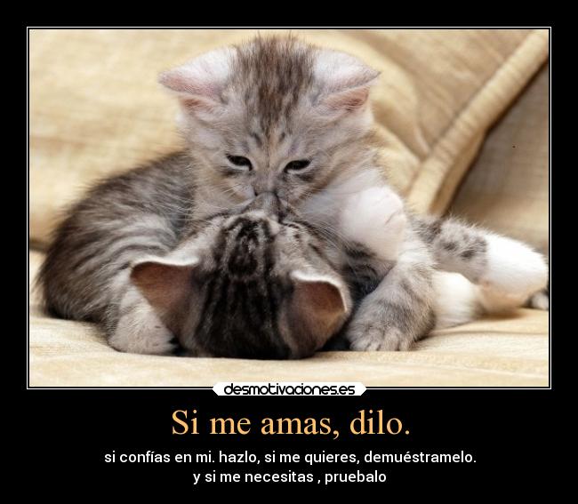 Si me amas, dilo. - si confías en mi. hazlo, si me quieres, demuéstramelo.
y si me necesitas , pruebalo