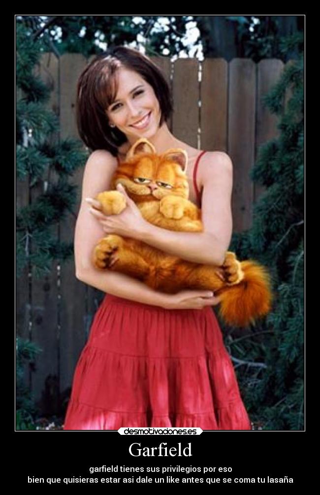 Garfield - garfield tienes sus privilegios por eso
bien que quisieras estar asi dale un like antes que se coma tu lasaña