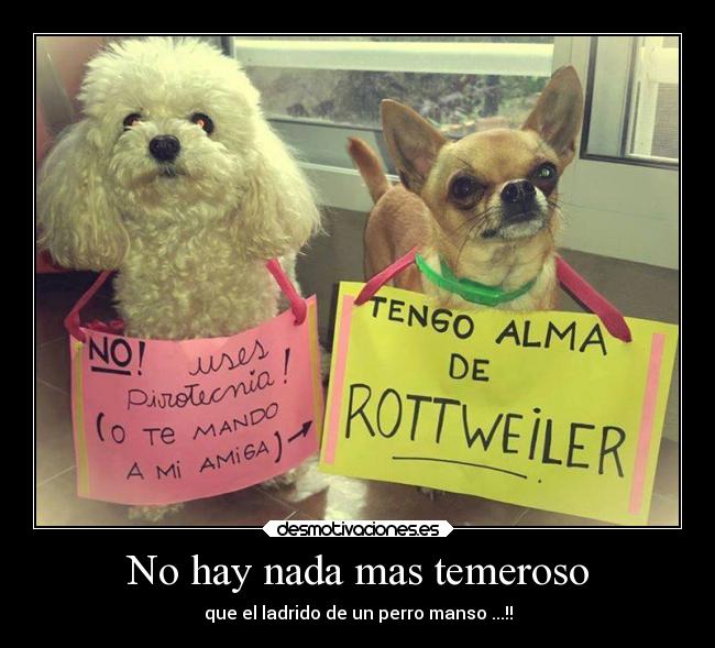 No hay nada mas temeroso - que el ladrido de un perro manso ...!!