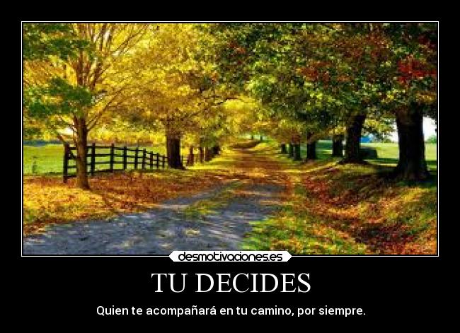 TU DECIDES - Quien te acompañará en tu camino, por siempre.