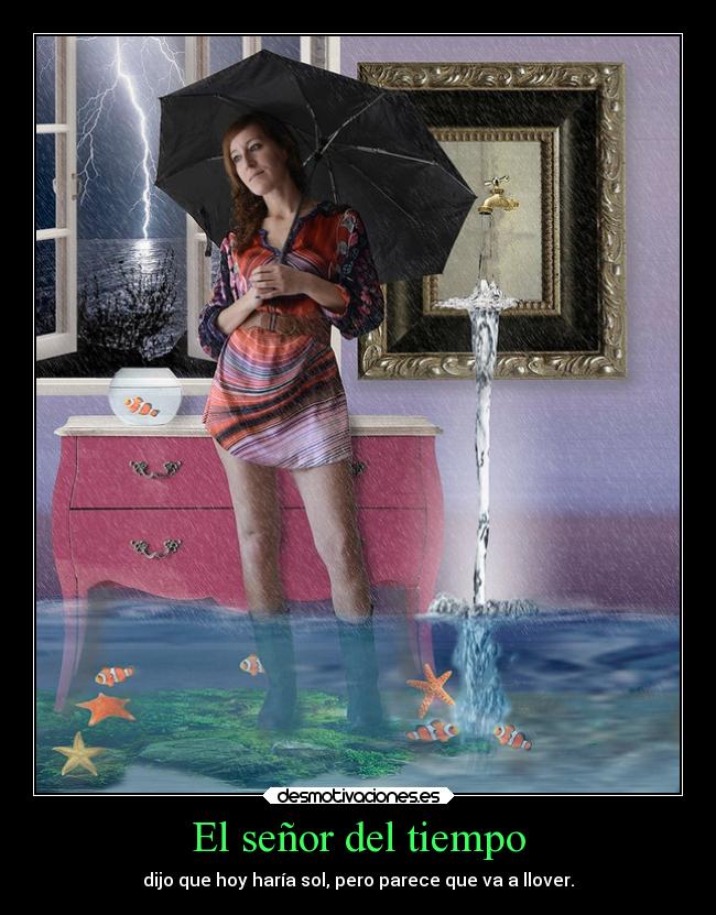 El señor del tiempo - dijo que hoy haría sol, pero parece que va a llover.