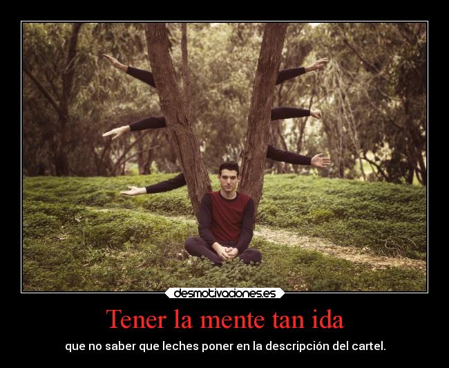 Tener la mente tan ida - que no saber que leches poner en la descripción del cartel.