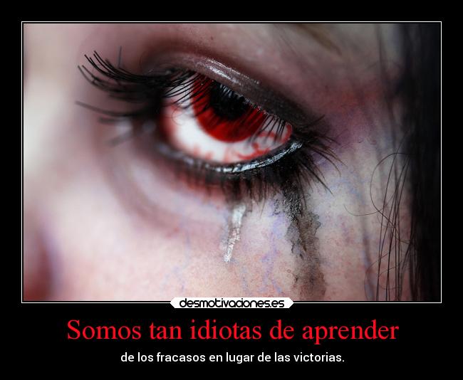 Somos tan idiotas de aprender - de los fracasos en lugar de las victorias.