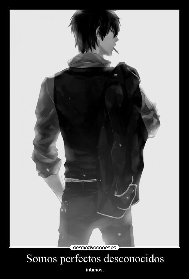 Somos perfectos desconocidos - 