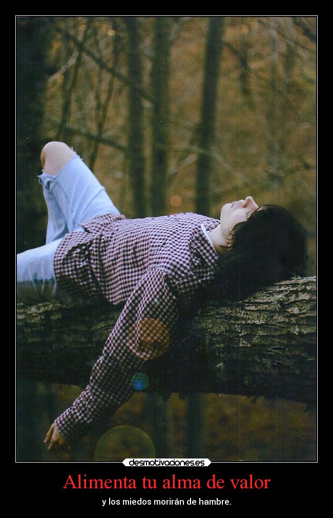 Alimenta tu alma de valor - y los miedos morirán de hambre.