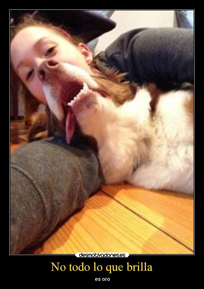 No todo lo que brilla -