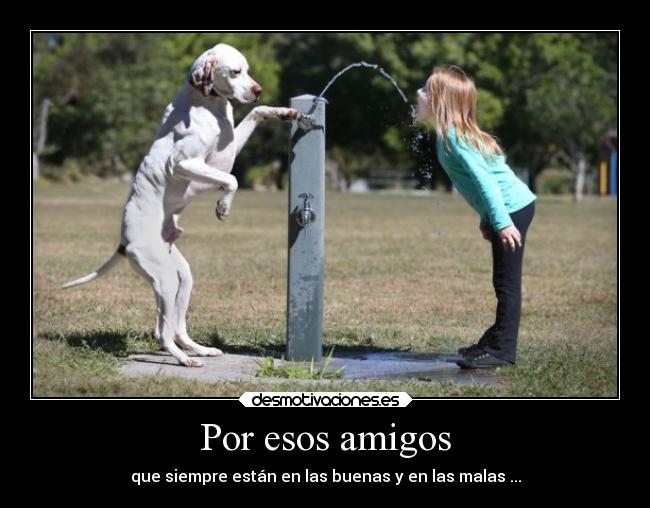Por esos amigos - que siempre están en las buenas y en las malas ...