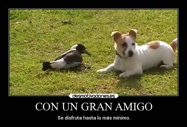 CON UN GRAN AMIGO - Se disfruta hasta lo más mínimo.
