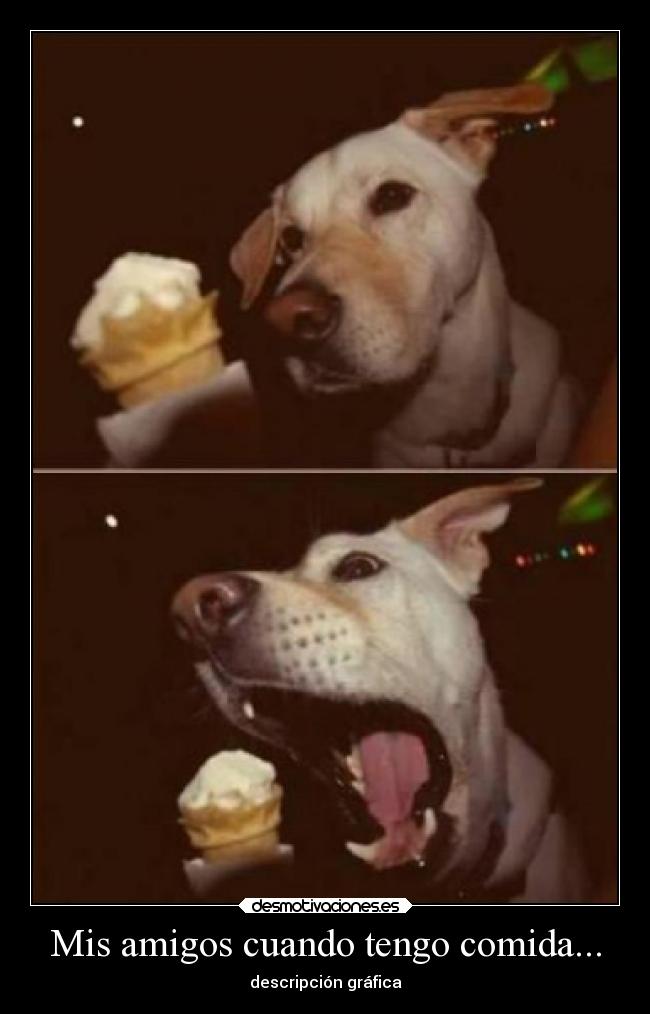 Mis amigos cuando tengo comida... - descripción gráfica