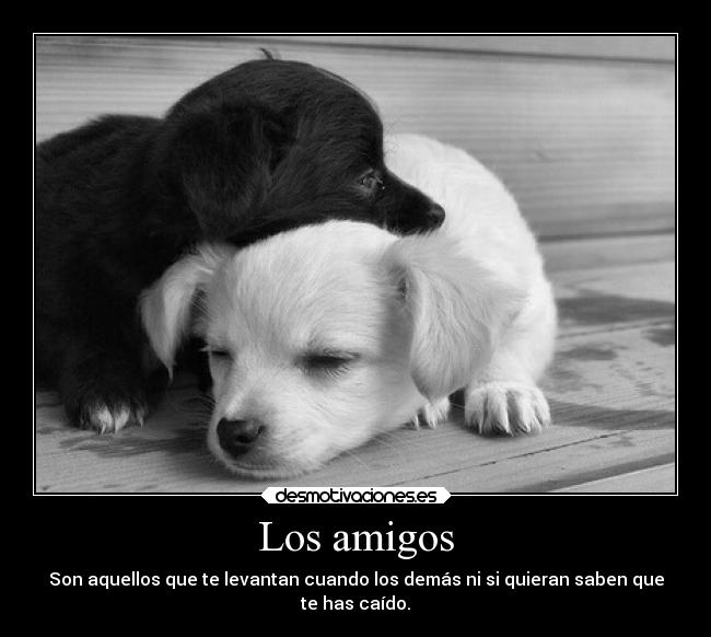 Los amigos - Son aquellos que te levantan cuando los demás ni si quieran saben que
te has caído.