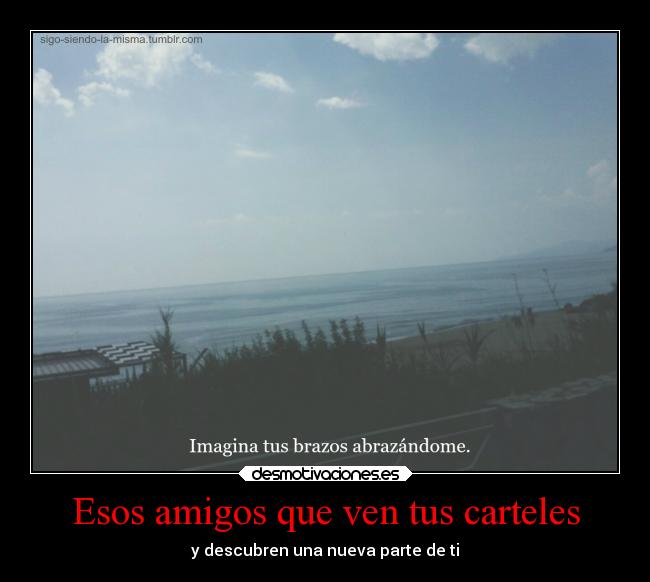 Esos amigos que ven tus carteles - 