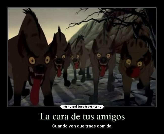 carteles amigos infancia humor comida vida amigos elreyleon hienas cara leon cierto devilbrigade disney hiena desmotivaciones