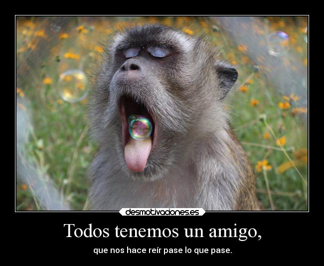 Todos tenemos un amigo, - 