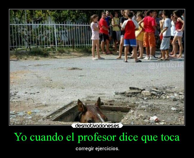 carteles amistad amigos caballos colegio instituto malditasmatematias santagojodio desmotivaciones