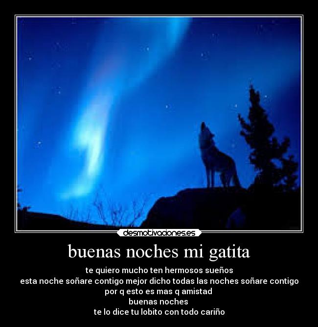 buenas noches mi gatita -