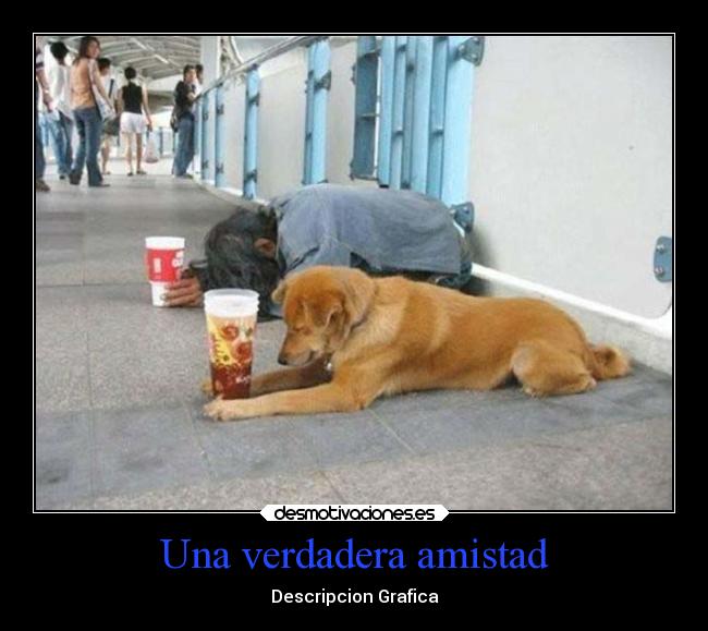 Una verdadera amistad - 