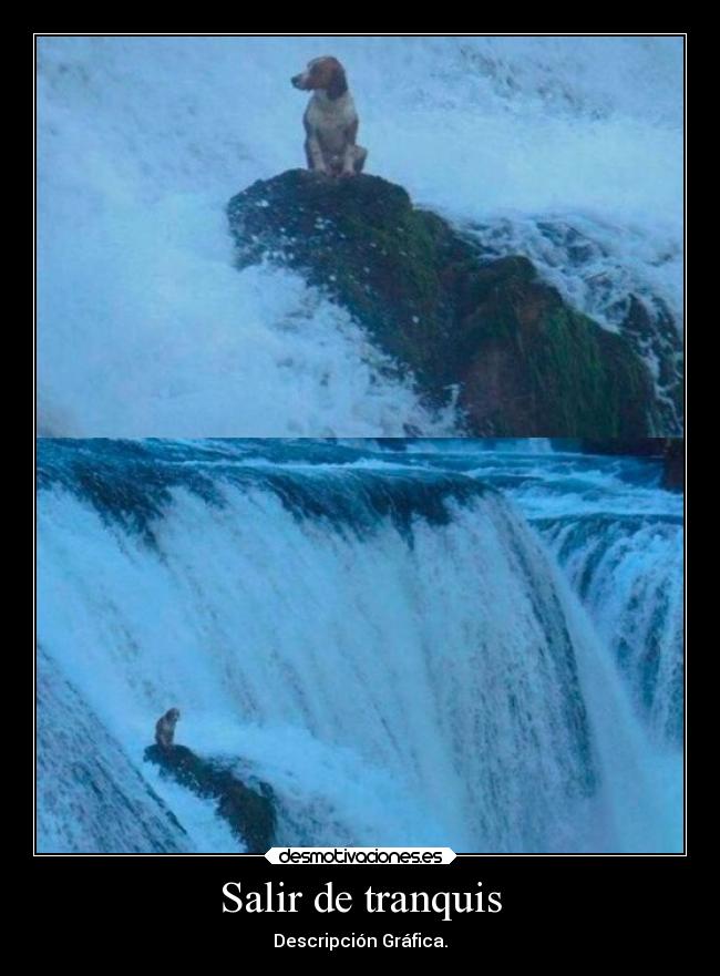 Salir de tranquis - Descripción Gráfica.