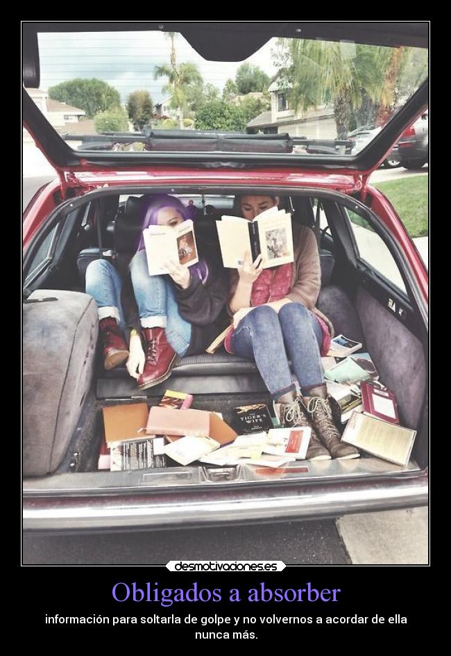 carteles amor alma lalala tututu pelumuradu soyloqueyodecidoser muradu estudios ejercitodemar pipepunki desmotivaciones