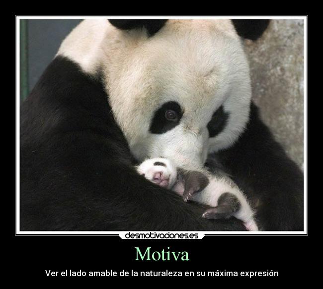 Motiva - Ver el lado amable de la naturaleza en su máxima expresión