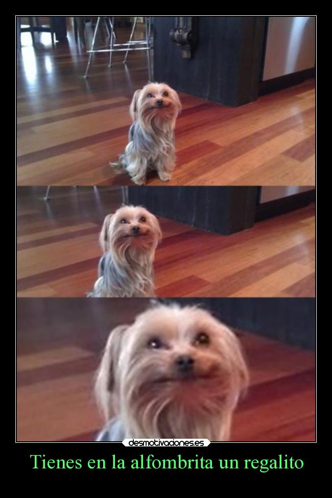 carteles amor ayuda cine desmotivaciones