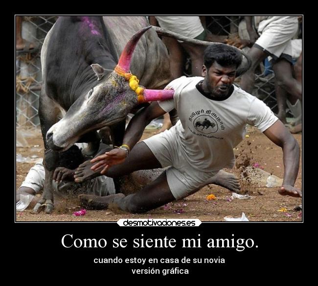 Como se siente mi amigo. - cuando estoy en casa de su novia
versión gráfica